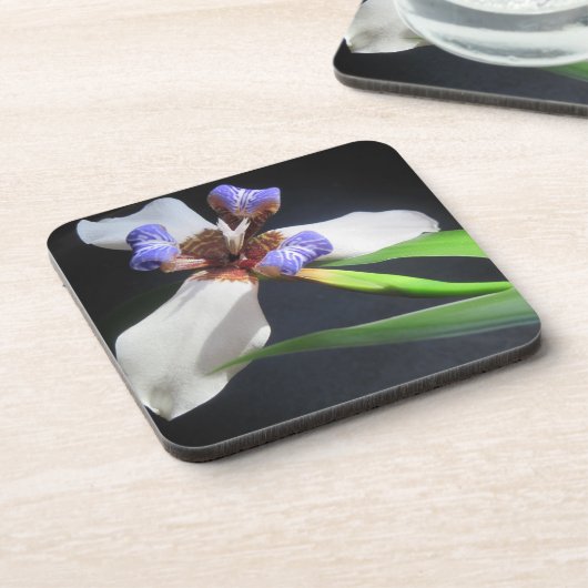 Iris Untersetzer (Linke Seite)