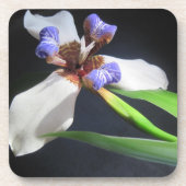 Iris Untersetzer (Vorderseite)
