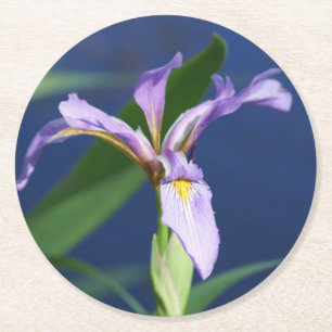 Iris-Untersetzer-Packung mit 6 Runder Pappuntersetzer