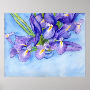 Iris Vase Aquarellmalerei Art Poster Drucken