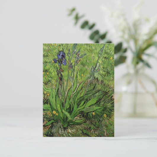 Iris, Vincent van Gogh Postkarte (Stehend Vorderseite)