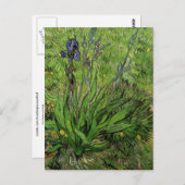 Iris, Vincent van Gogh Postkarte (Vorne/Hinten)