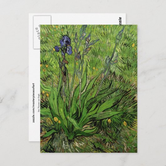 Iris, Vincent van Gogh Postkarte (Vorne/Hinten)