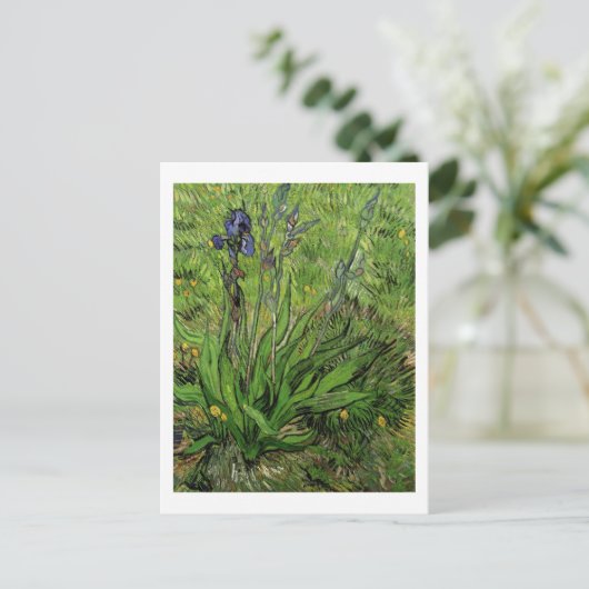 Iris, Vincent van Gogh Postkarte (Stehend Vorderseite)