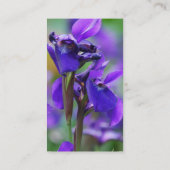 Iris-Visitenkarte Visitenkarte (Rückseite)