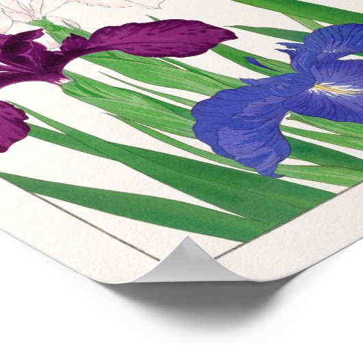 Iris von Tanigami Konan Poster (Ecke)