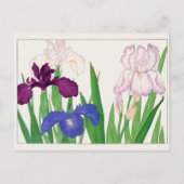 Iris von Tanigami Konan Postkarte (Vorderseite)