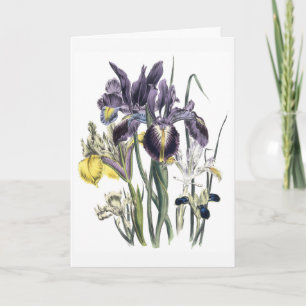 Iris-Wasserfarben-Trauerkarte Aktualisiert Karte
