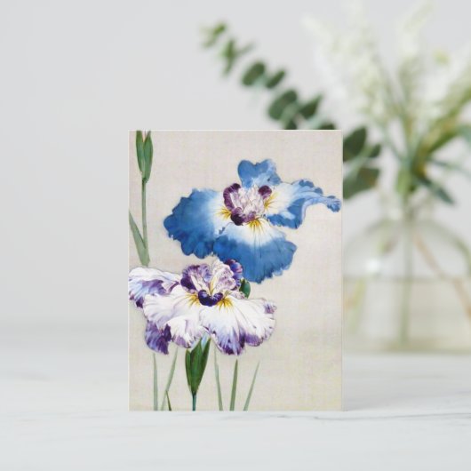 Iris, Watanabe Seitei Postkarte (Stehend Vorderseite)