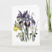 Iris Watercolor Sympathy Card Updated Karte (Vorderseite)