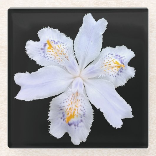 Iris White Glasuntersetzer (Vorderseite)
