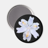 Iris White Magnet (Vorderseite/Rückseite)