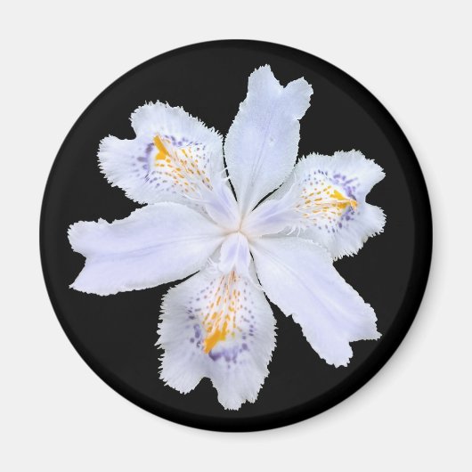 Iris White Magnet (Vorne)