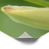 Iris with Quote Poster (Ecke)