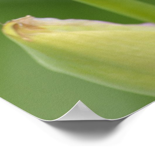 Iris with Quote Poster (Ecke)