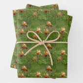 Iris Wrapping Paper Geschenkpapier Set (Beispiel)