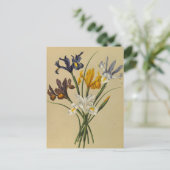 Iris Xiphium (Iris Hispanica) von Arentina Arendse Postkarte (Stehend Vorderseite)