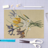 Iris Xiphium (Iris Hispanica) von Arentina Arendse Seidenpapier (Handwerk)