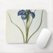 Iris Xyphioides, von "Les Liliacees", 1808 Mousepad (Mit Mouse)