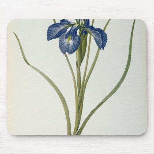 Iris Xyphioides, von "Les Liliacees", 1808 Mousepad (Vorne)
