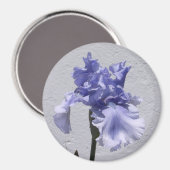 Irisblüte Magnet (Vorderseite/Rückseite)