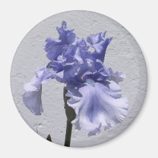 Irisblüte Magnet