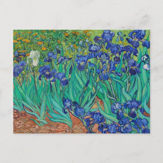 Irisch 1889 von Vincent Van Gogh Fine Art Blume Postkarte (Vorderseite)