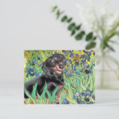 Irisch - Dachsund (BT4) Postkarte (Stehend Vorderseite)