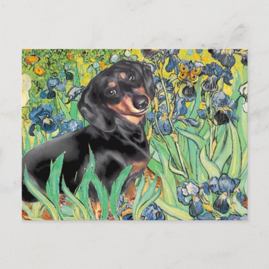 Irisch - Dachsund (BT4) Postkarte (Vorderseite)