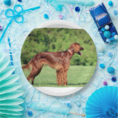 irisch-setter-voll 2 pappteller (Party)