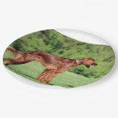 irisch-setter-voll 2 pappteller (Schrägansicht)