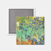 Irisch - Van Gogh - c1889 Magnet (Vorderseite/Rückseite)