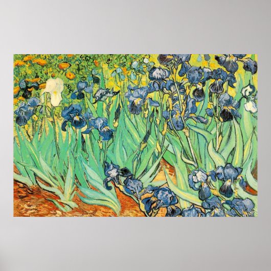 Irisch - Van Gogh - c1889 Poster (Vorne)