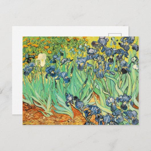 Irisch - Van Gogh - c1889 Postkarte (Vorne/Hinten)