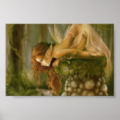 Irisch-Waldelfenplakat Poster (Vorne)