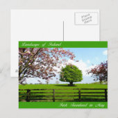 Irische Bilder für Postkarten (Vorne/Hinten)