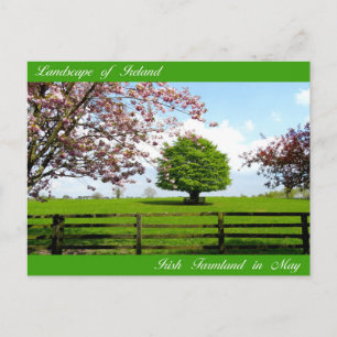 Irische Bilder für Postkarten