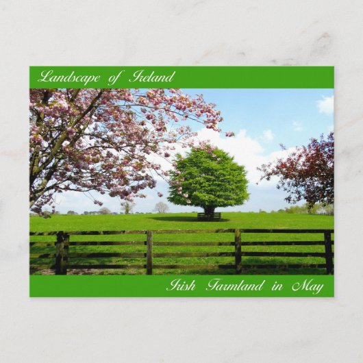 Irische Bilder für Postkarten (Vorderseite)