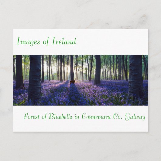 Irische Bilder für Postkarten (Vorderseite)