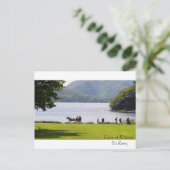 Irische Bilder für Postkarten (Stehend Vorderseite)