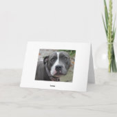 Irische blaue Hundegeburtstags-Karte Karte (Rückseite)