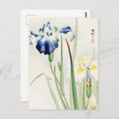 Irische Blume von Blumen von Ohara Koson Postkarte (Vorne/Hinten)