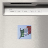irische Flagge Magnet (In Situ (Geschirrspüler))