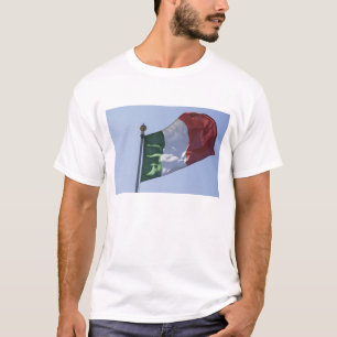 Irische Flagge T-Shirt