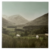 Irische Gebirgsszene Fliese (Vorderseite)