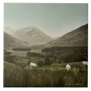 Irische Gebirgsszene Fliese