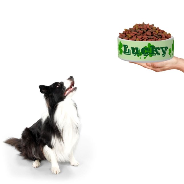 Irische grüne Klee-Kleeblatt Napf (One lucky dog! treat your pet with a personalized bowl)