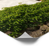 Irische Hütte Poster (Ecke)