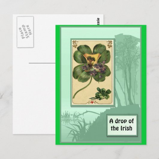 irische Kleeblätter Postkarte (Vorne/Hinten)
