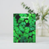 irische Kleeblätter Postkarte (Stehend Vorderseite)